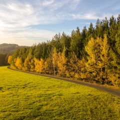 Herbst Gärtenroth 2017