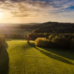 Herbst Gärtenroth 2017