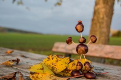 Kastanienmännchen
