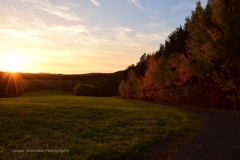 Herbst03