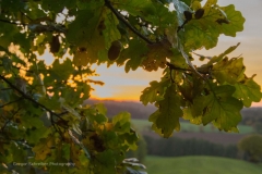 Herbst06
