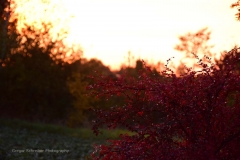 Herbst07
