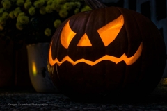 Herbst08