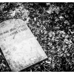 Lost Places - Krematorium
