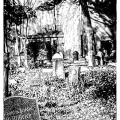Lost Places - Krematorium