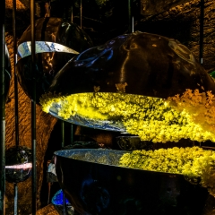 Kronach leuchtet 2017