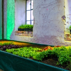 Kronach leuchtet 2017