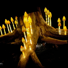 Kronacht leuchtet 2018