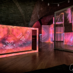 Kronacht leuchtet 2018