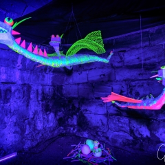 Kronacht leuchtet 2018