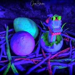 Kronacht leuchtet 2018