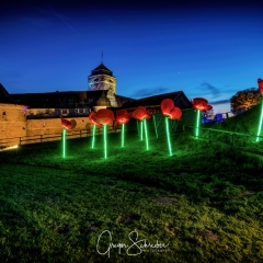 Kronacht leuchtet 2018