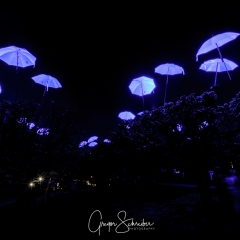 Kronacht leuchtet 2018