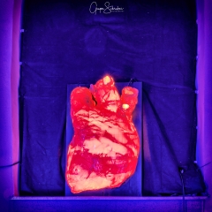 Kronacht leuchtet 2018