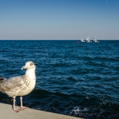 Sopot - Molo