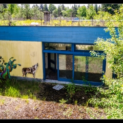 Das verlassene Kinderkurheim