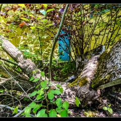 Das verlassene Kinderkurheim