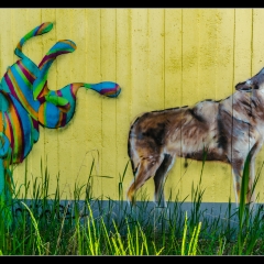 Das verlassene Kinderkurheim