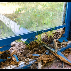 Das verlassene Kinderkurheim