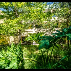 Das verlassene Kinderkurheim