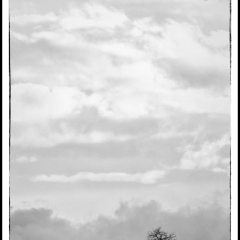 Winter Wonderland - Winterzauber B&W