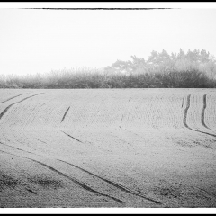 Winter Wonderland - Winterzauber B&W