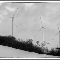 Winter Wonderland - Winterzauber B&W