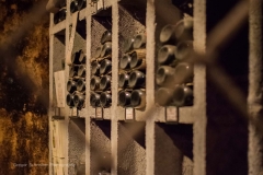 Winzerkeller