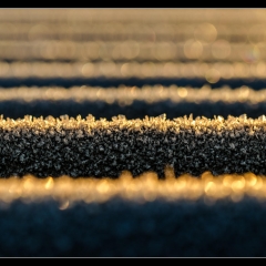 Winter Wonderland - Winterzauber