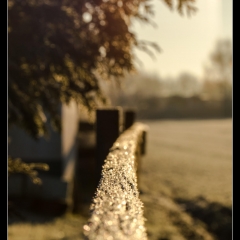 Winter Wonderland - Winterzauber