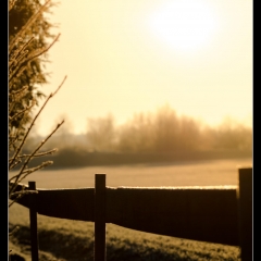 Winter Wonderland - Winterzauber