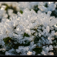 Winter Wonderland - Winterzauber