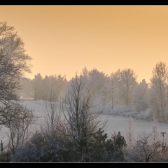 Winter Wonderland - Winterzauber