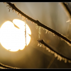 Winter Wonderland - Winterzauber