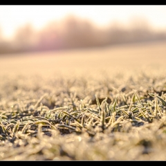 Winter Wonderland - Winterzauber