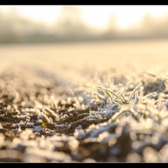 Winter Wonderland - Winterzauber