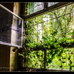 Beelitz Heilstätten Bäckereigebäude