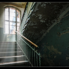 Beelitz Heilstätte - Wohnpavillon AI